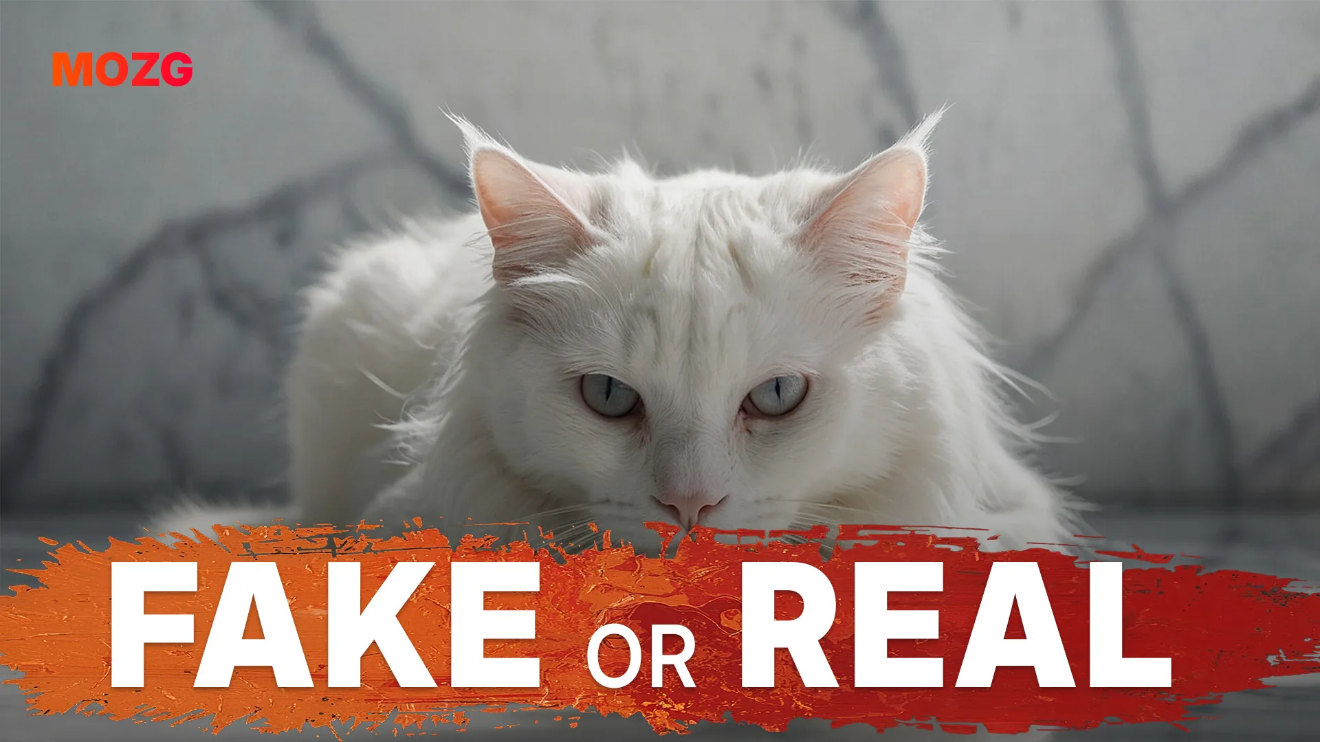 Visit our YouTube Channel